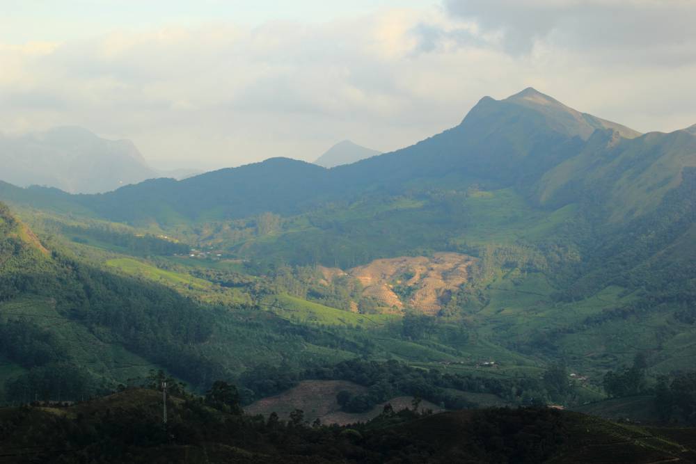 Eravikulam National Park (8).jpg